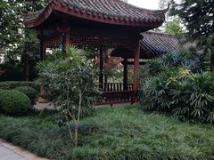 -龙头寺公园