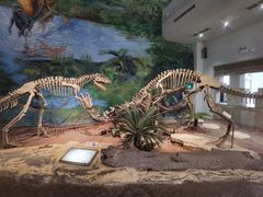 -自贡恐龙博物馆