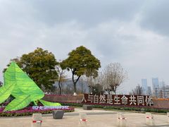 -桂溪生态公园