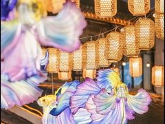 -山塘街