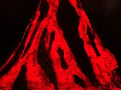 -安徽省地质博物馆