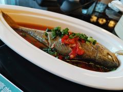 臭黄鱼-万豪咖啡厅