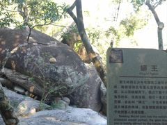 -海南霸王岭国家森林公园