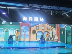-重庆欢乐海底世界