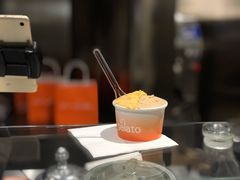 柿子Persimmons-Dip in Gelato(富民路店)