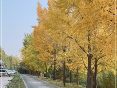 -元大都城垣遗址公园