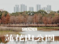 -莲花山公园