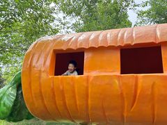 -西部长青自然儿童乐园