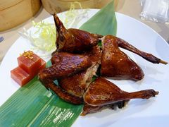 陈皮妙龄乳鸽-蔡澜港式点心(皇庭广场店)