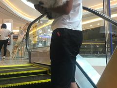 -昆百大泰业城