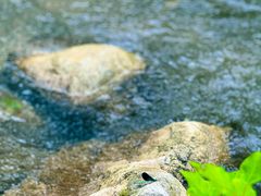 -百里山水画廊