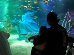 -沈阳海洋探索中心