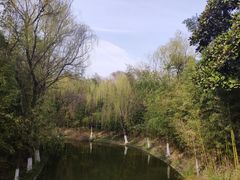 -荆川公园