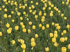 -长春公园(普阳街道)