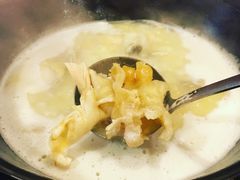 -鲜入围煮花胶鸡海鲜火锅