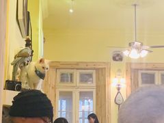 大堂-猫色咖啡·猫咖