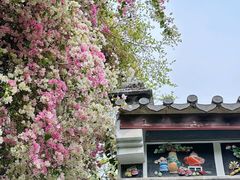 -深圳国际园林花卉博览园