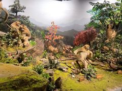 -自贡恐龙博物馆