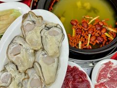 -花苑美食横琴生蚝火锅(拱北粤华路店)