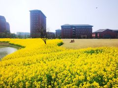 -浙江大学(紫金港校区)