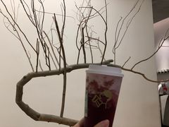 -喜茶(深圳海岸城店)