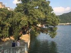 -蒋氏故居