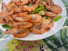 -四姑娘川味海鲜(八爪鱼店)