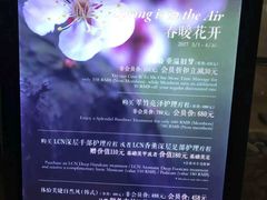 -Dragonfly悠庭·按摩Spa(静安嘉里中心店)