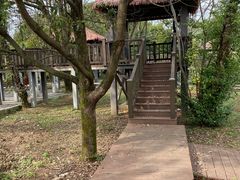 -咸宁太乙国际温泉度假村
