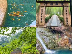 -大奇山国家森林公园