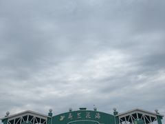 -荷兰花海