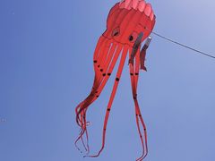 -潍坊滨海云门国际风筝放飞场