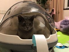 -佳雯宠物医院(四明中路分院)