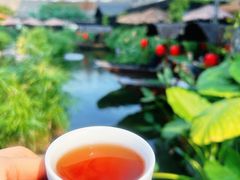 -顺德渔村(华侨城店)