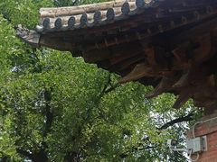 -白台寺