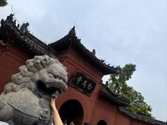 -洛阳白马寺