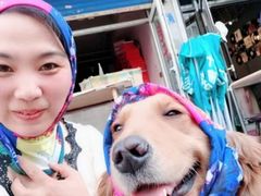 -大班家政月嫂育儿嫂(总部店)