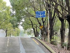 -胜华驾校·小猫学车(银都店)