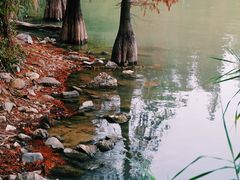 -星湖旅游景区七星岩