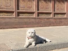 -张掖大佛寺景区