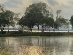 -东湖落雁景区