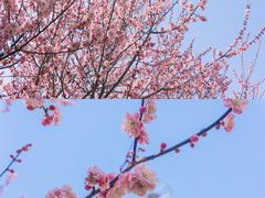 -渭河城市绿地运动公园