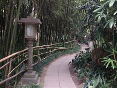 -广州兰圃