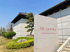 -中国唐苑