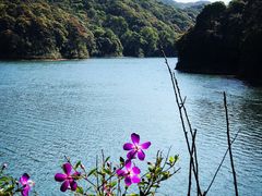 -广州市石门国家森林公园