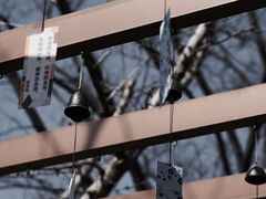 -紫阳古街