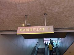 -海底捞大排档火锅(打浦路店)