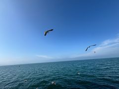 -悦海公园