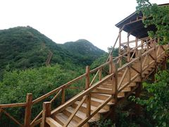 -大岭沟猕猴桃谷风景区