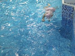 -楠木种子游泳馆(李沧万达店)